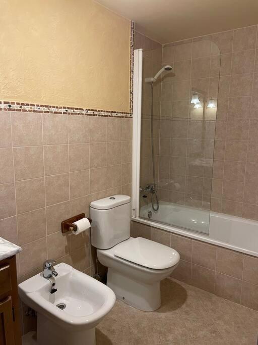 Apartamento Duplex En Benasque Anciles Dış mekan fotoğraf